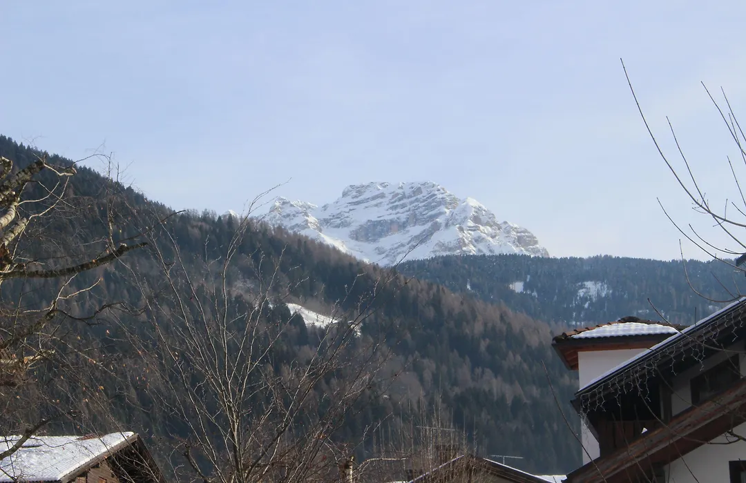 Hotel Garni Al Nardis-1